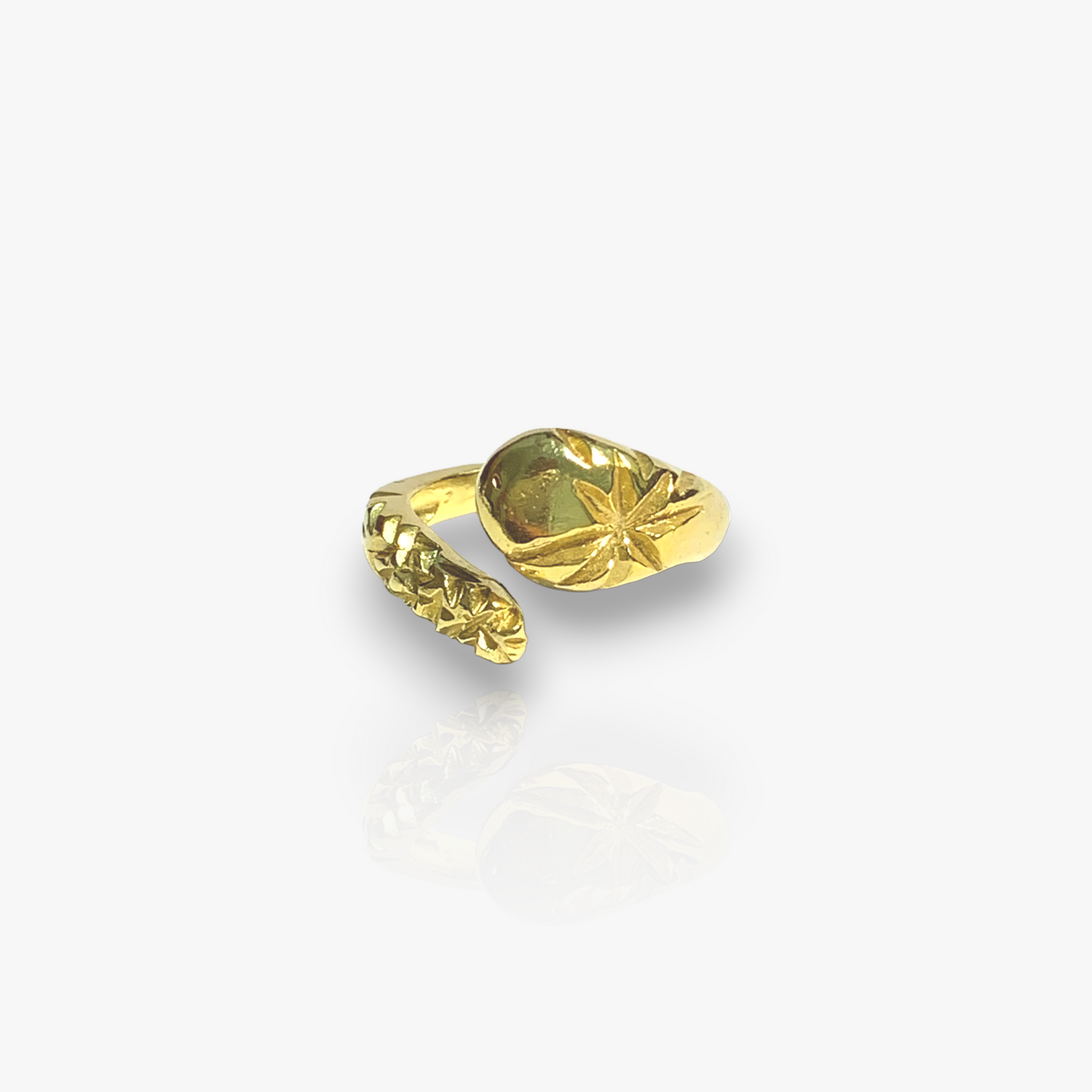 Anillo Ajustable ASTER