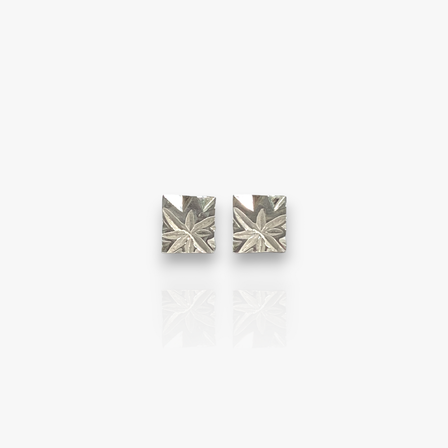 Pendientes Mini ASTER