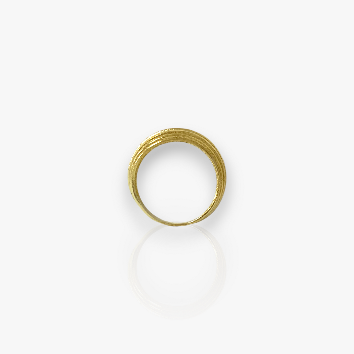 Anillo Canales
